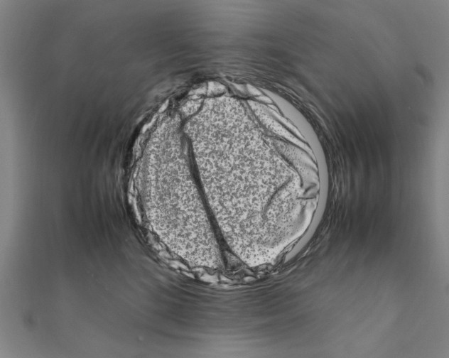 X0000111190520200908121050