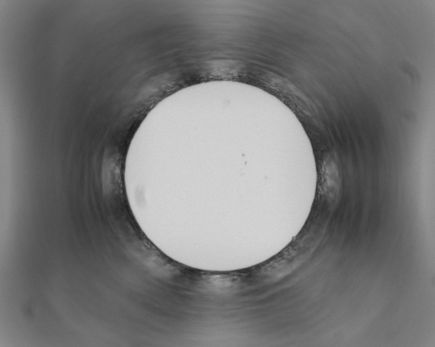 X0000111190522200908121050