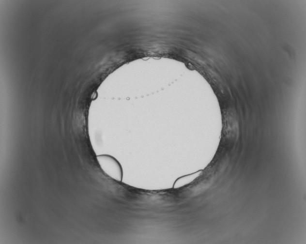 X0000111190523200908121050