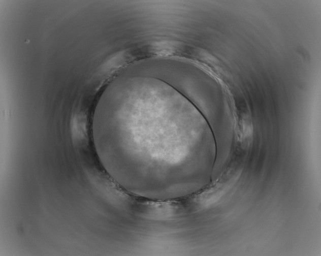 X0000111190524200908121050