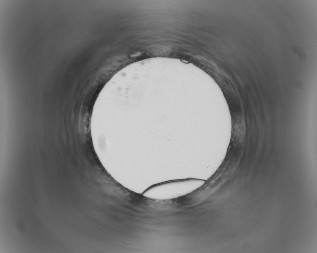 X0000111190525200908121050