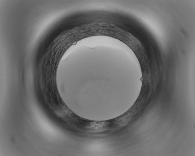 X0000111190526200908121050