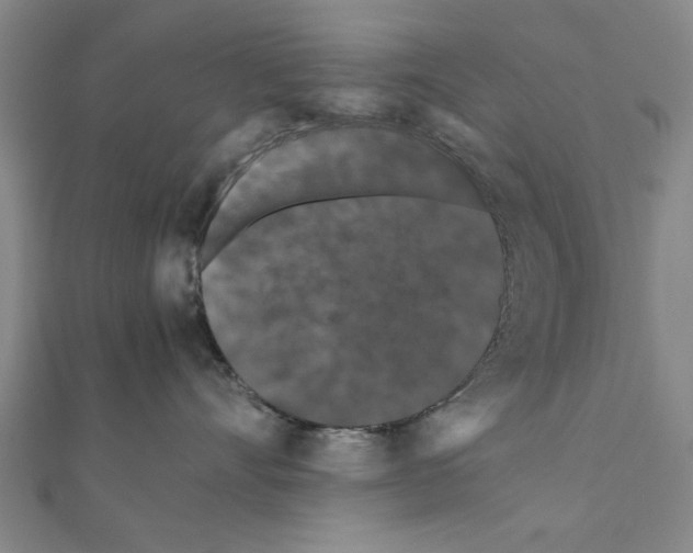 X0000111190528200908121050