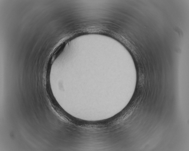 X0000111190530200908121049