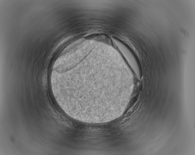 X0000111190531200908121049