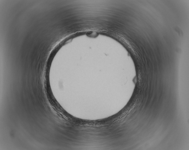 X0000111190532200908121049
