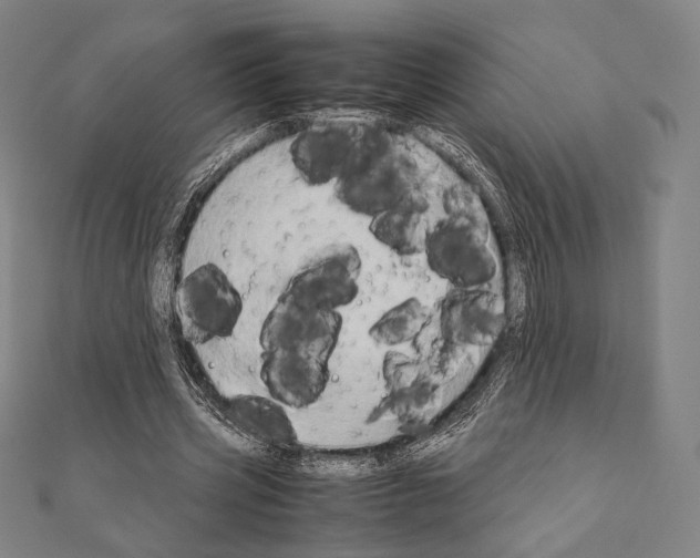 X0000111190533200908121049