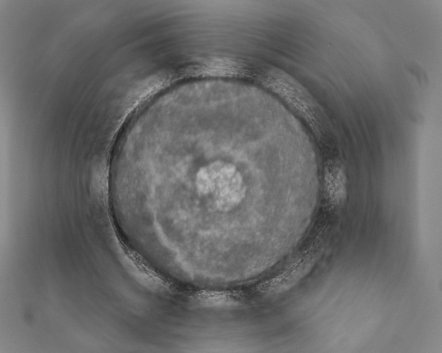 X0000111190534200908121049