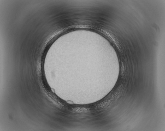 X0000111190535200908121049