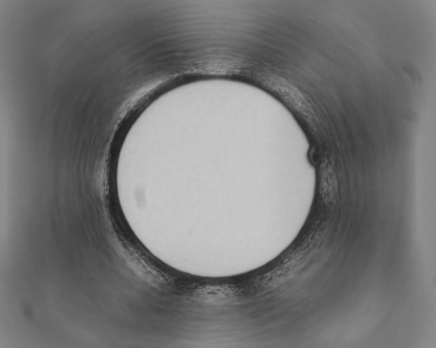 X0000111190536200908121049
