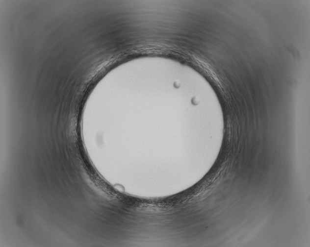 X0000111190538200908121049
