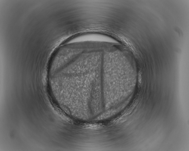 X0000111190540200908121049