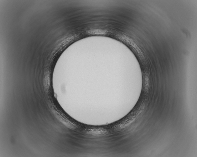 X0000111190541200908121049