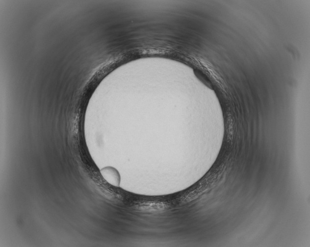X0000111190543200908121049