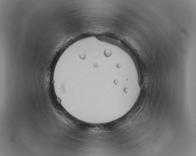 X0000111190544200908121050