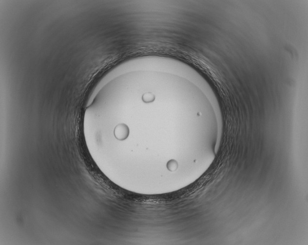 X0000111190546200908121050