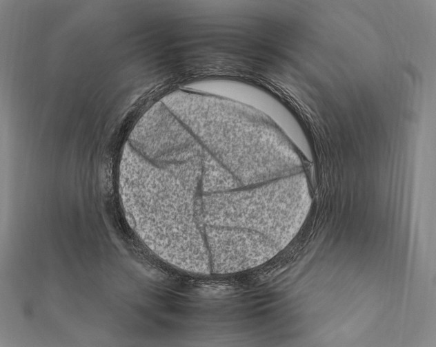 X0000111190547200908121050