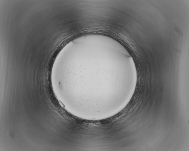 X0000111190548200908121050