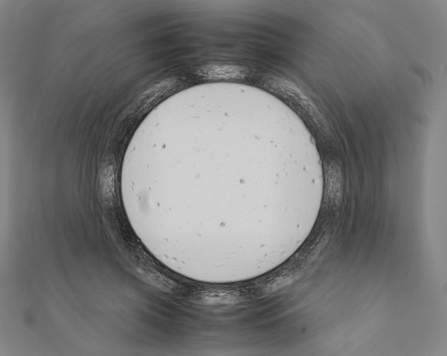 X0000111190549200908121050