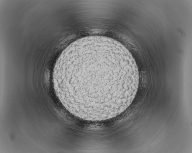 X0000111190550200908121050
