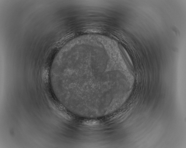 X0000111190551200908121050