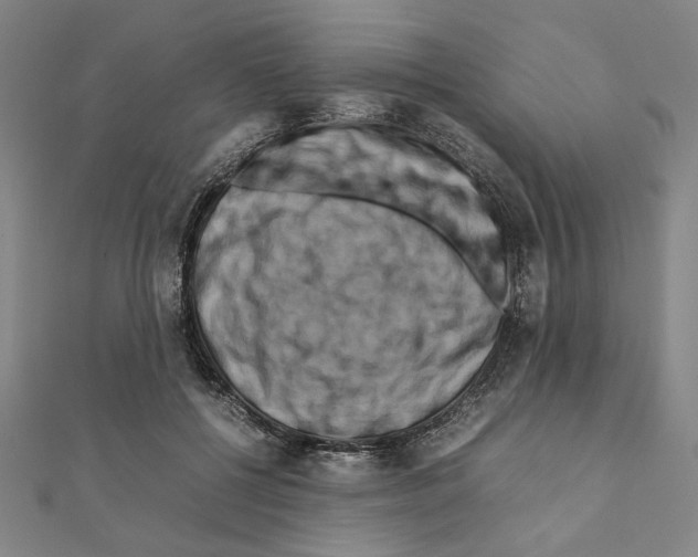 X0000111190552200908121050