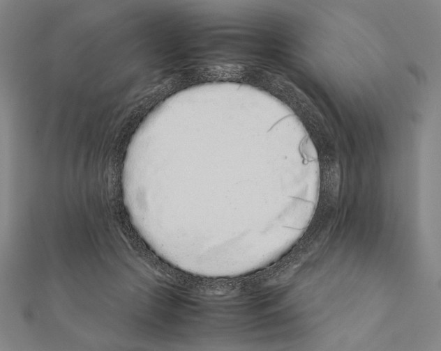 X0000111190553200908121050