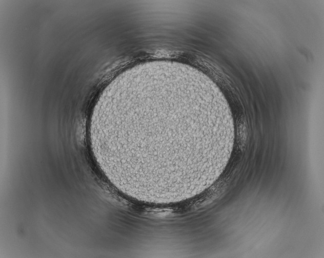 X0000111190554200908121050