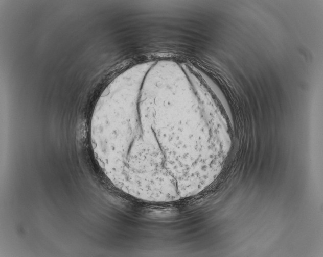 X0000111190555200908121050