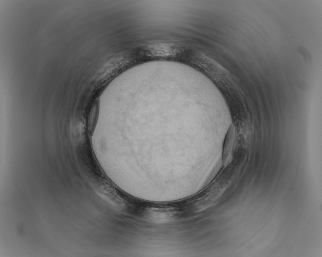 X0000111190556200908121050
