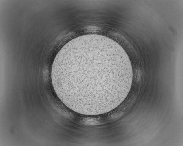 X0000111190557200908121050