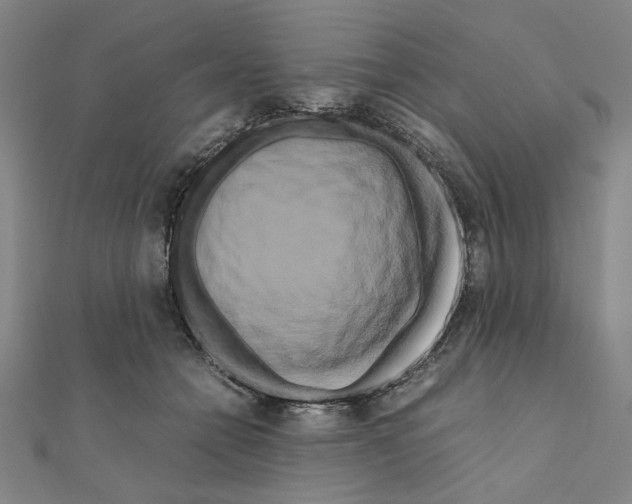 X0000111190558200908121050