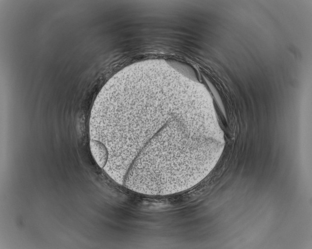 X0000111190559200908121050