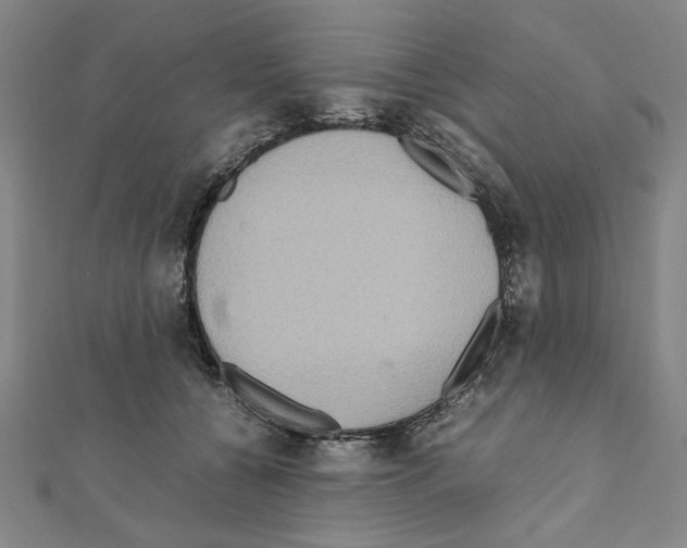 X0000111190560200908121050