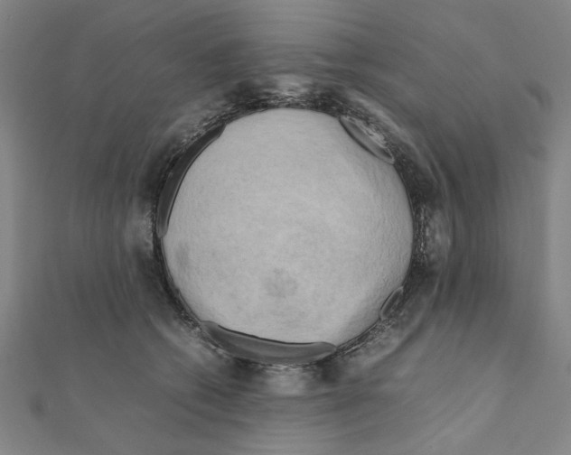 X0000111190562200908121050