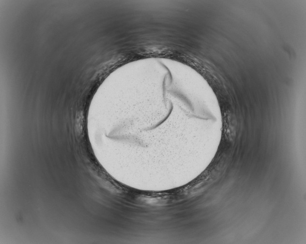 X0000111190563200908121050