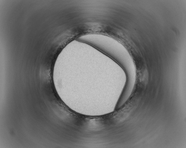 X0000111190564200908121050