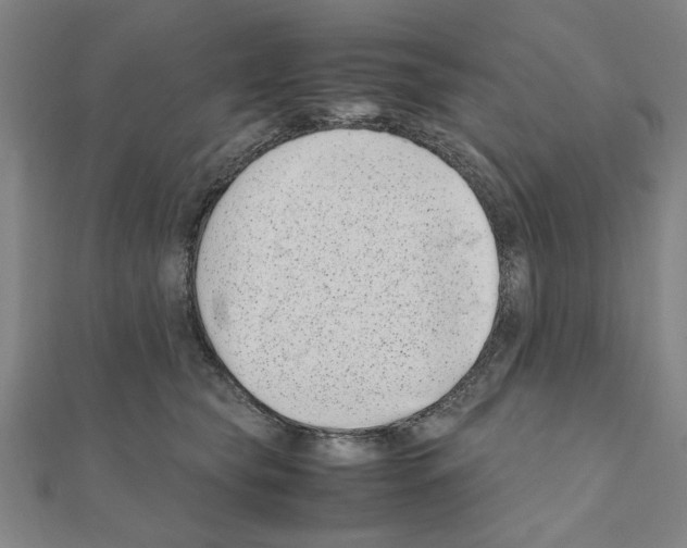X0000111190565200908121050