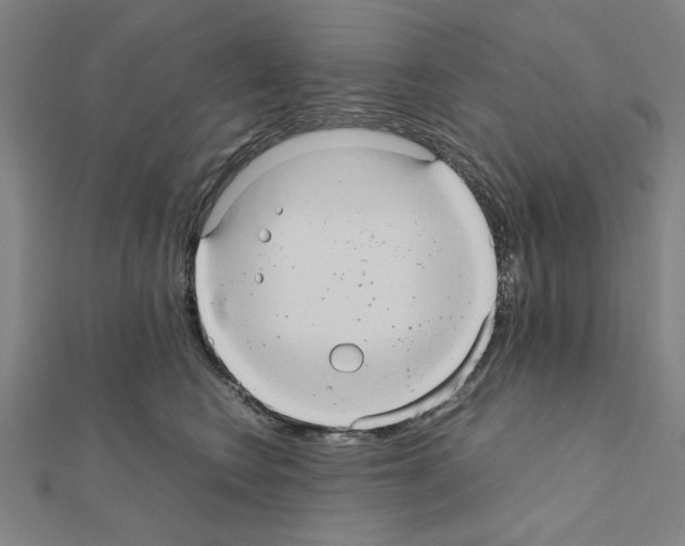 X0000111190566200908121050