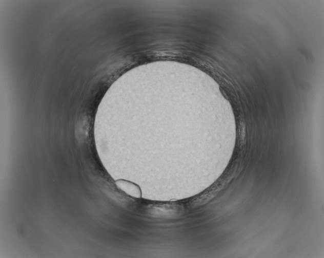 X0000111190567200908121050