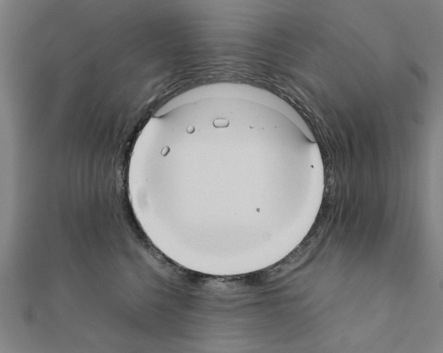 X0000111190568200908121050