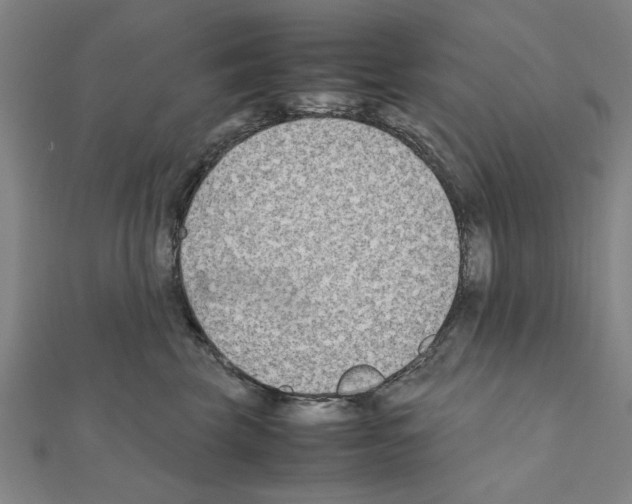 X0000111190569200908121050
