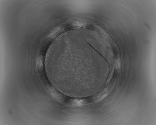 X0000111190570200908121050