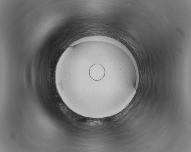 X0000111190572200908121050