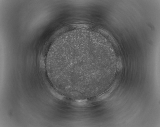 X0000111190573200908121050