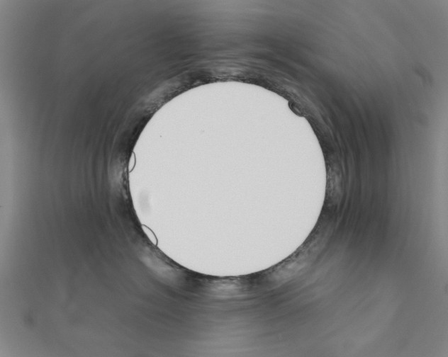 X0000111190574200908121050