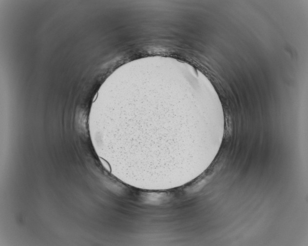 X0000111190575200908121050