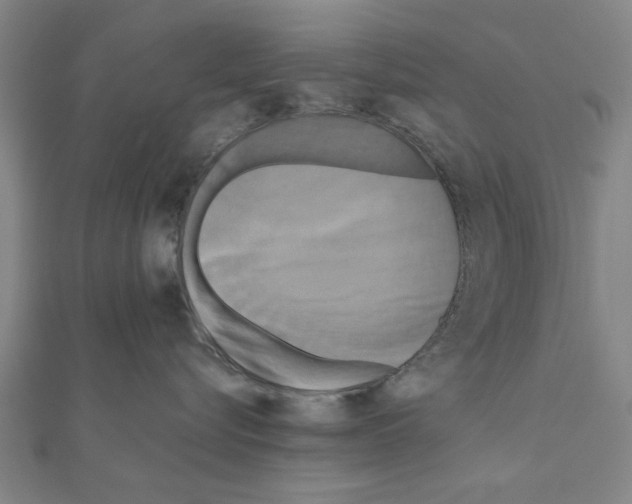 X0000111190576200908121050