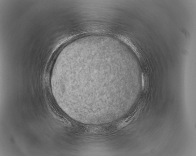X0000111190579200908121049
