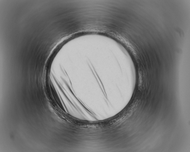 X0000111190580200908121049